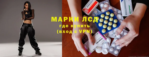 прущие грибы Арсеньев