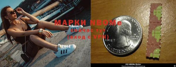 прущие грибы Арсеньев