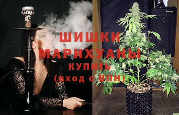apvp Балахна